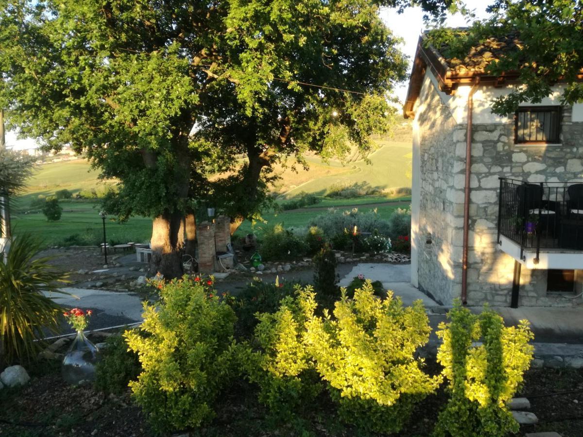B&B Pozzo Innamorato Montenero di Bisaccia Bagian luar foto