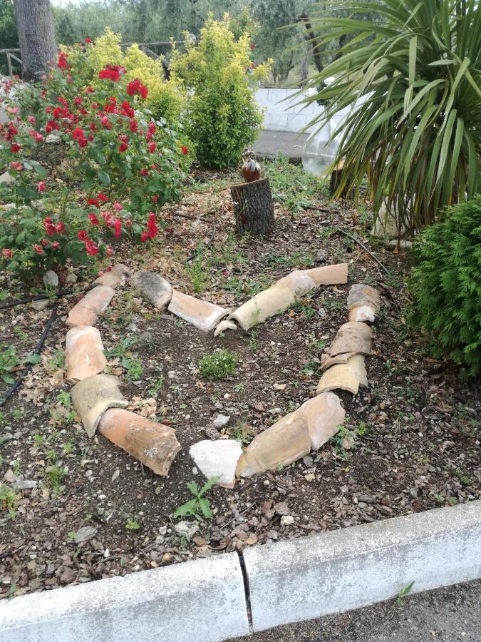 B&B Pozzo Innamorato Montenero di Bisaccia Bagian luar foto