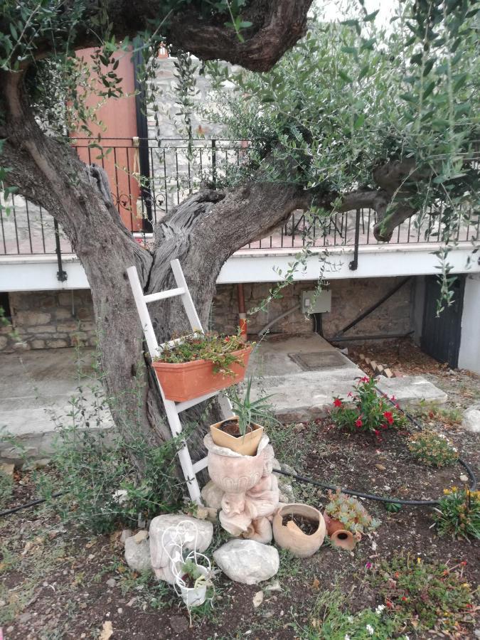 B&B Pozzo Innamorato Montenero di Bisaccia Bagian luar foto